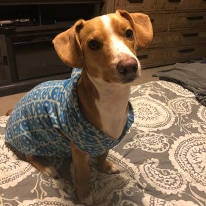 Meet your Posher, Leigh